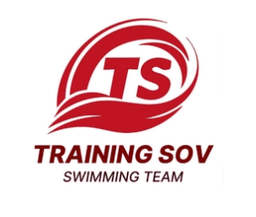 Logo de Team SOV